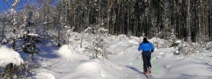 Beck lyovn a skialpinismus